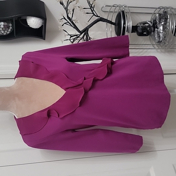 Chaps, Size L, Magenta V Neck Blouse with Sheer Ruffle Trim.  EUC - Picture 1 of 10